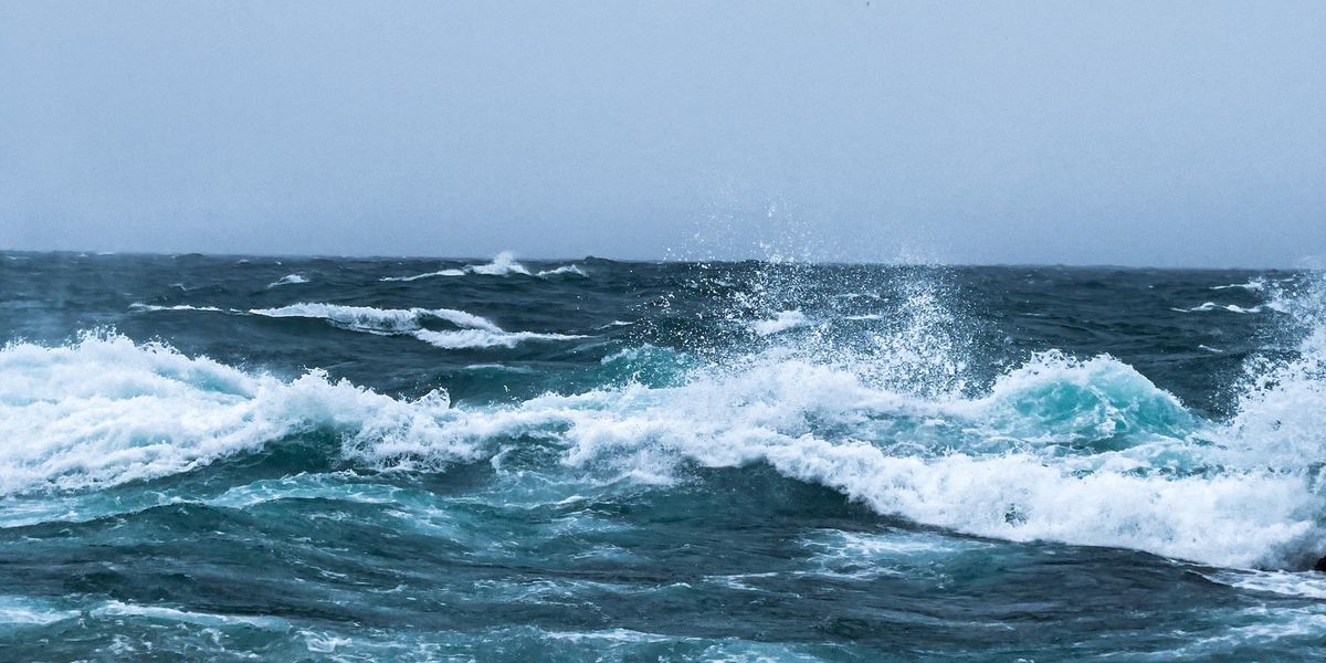 #9 KlimaGoodNews: Meeresschutz ist Klimaschutz