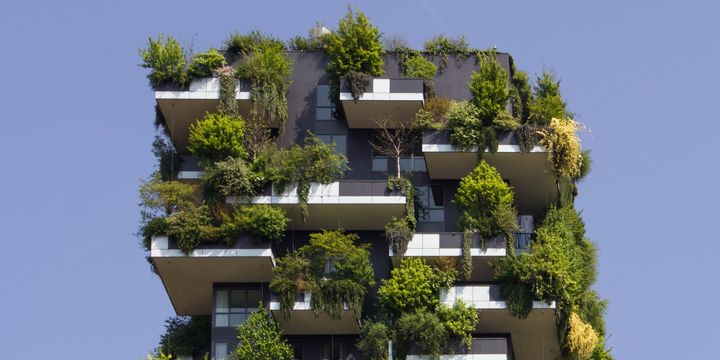 Ein bewachsenes Hochhaus.
